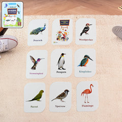 KidKraft Early Learner Educational Flashcards ? 32 Birds