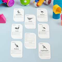 KidKraft Early Learner Educational Flashcards ? 32 Birds