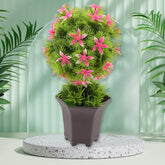 Wild Artificial Flower Plant with Cute Pot – Home Office Tabletop Decor, Indoor Balcony Decoration (1 Pc)
