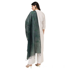 Generic Women's Cotton Embroidered Dupatta (Green, Length: 2.25 to 2.50 Mtr)
