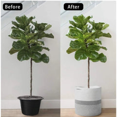 Generic Cotton Large Woven Storage Basket 11x11 Inch Pack of 1 (Grey White)