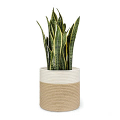 Generic Cotton Large Woven Storage Basket 11x11 Inch Pack of 1 (Beige White)