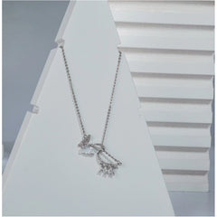 Generic Women's Stainless Steel Imported Stanless Steel Pendent Chain (Silver Plated)