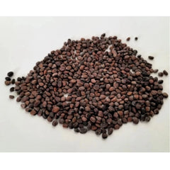 Generic Sango Radish Microgreen Seeds – Quick Harvest, Suitable for Any Space