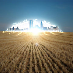 Wheat Land and city landscapes Mobile case cover